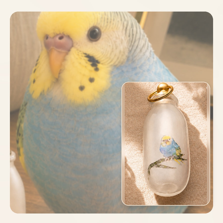 Reference photo of a blue budgie beside its finished hand-painted glass keepsake